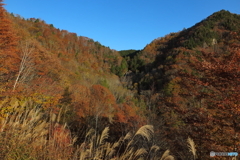 秋の大倉滝