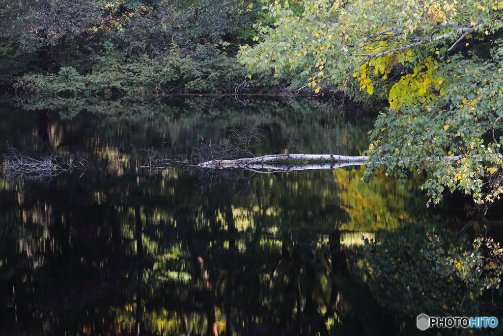 悲しい事件現場