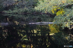 悲しい事件現場