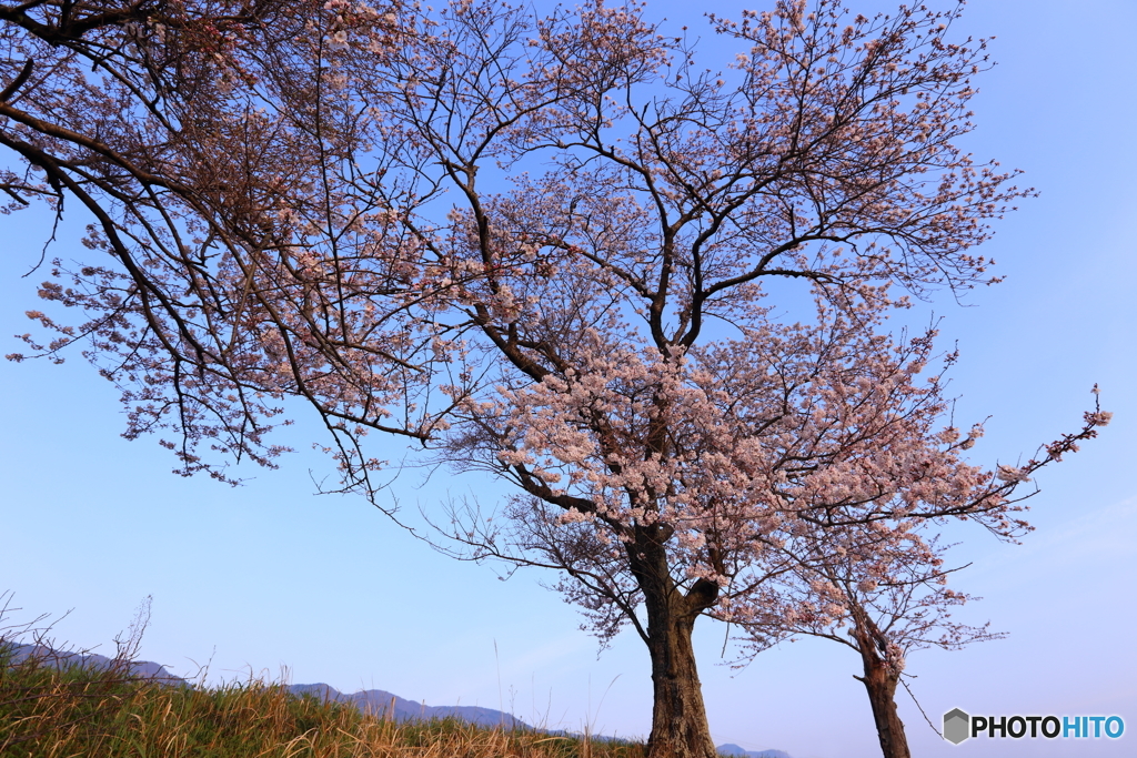 逢いに行くね♫