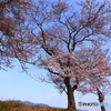 逢いに行くね♫