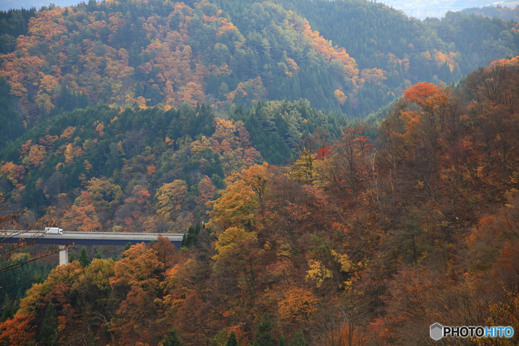 錦秋のハイウエー