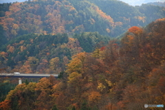 錦秋のハイウエー