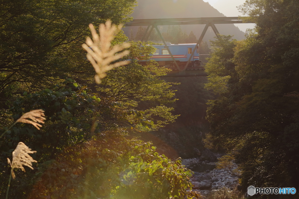 樽見鉄道・初秋風景