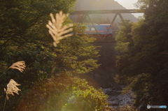 樽見鉄道・初秋風景