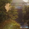 樽見鉄道・初秋風景