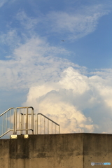 夏の空高く