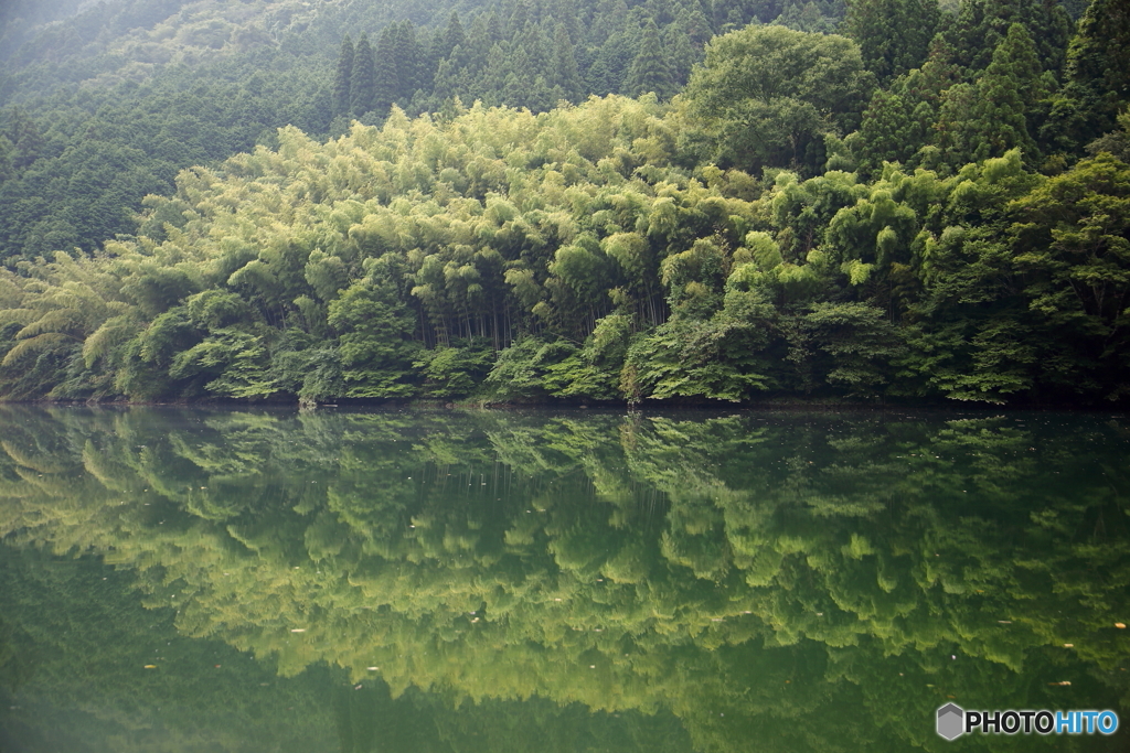 竹の情景