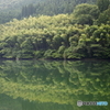 竹の情景