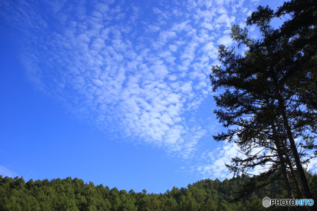 天高く秋の雲