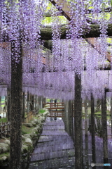 高校生になりました♪