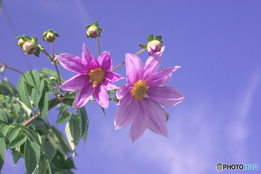 ごまかせない～