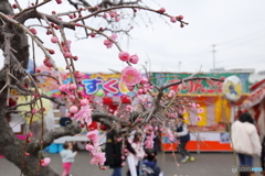 梅まつり