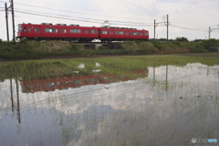 季節限定リフレクション