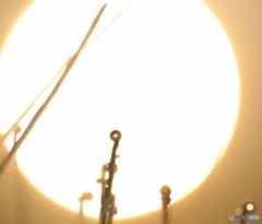 planet