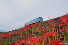 お彼岸の樽見鉄道