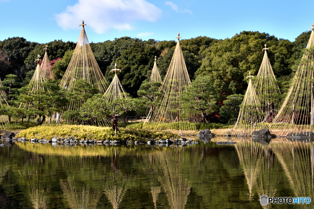 白鳥庭園の冬支度