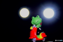 夜　カ・エ・ル