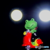 夜　カ・エ・ル