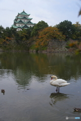 堀の主