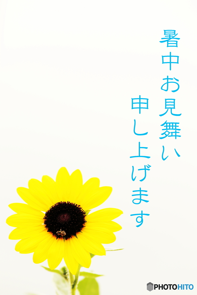 暑中見舞い