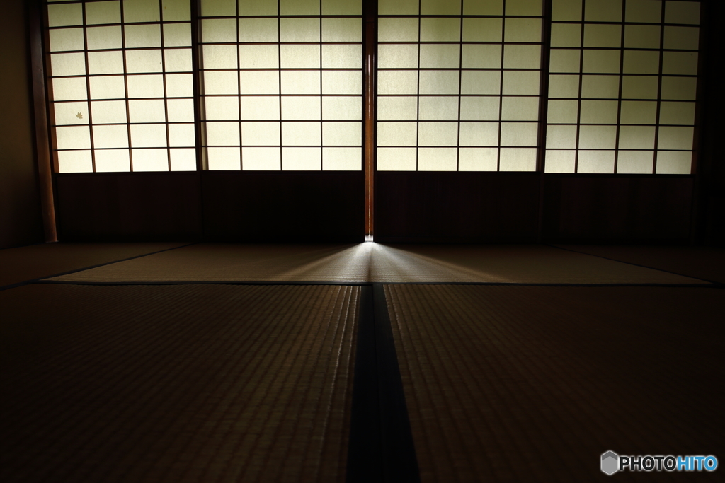 和の光