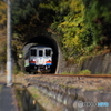 長良川鉄道・ミニトンネル