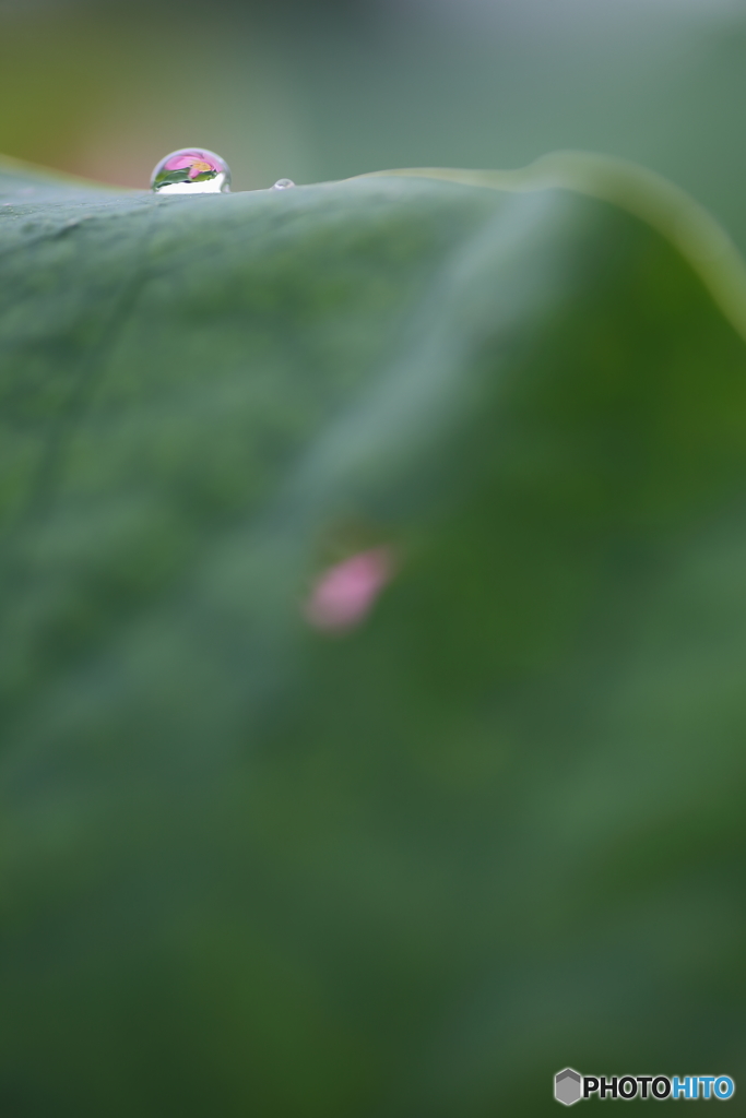 見つけた宝物