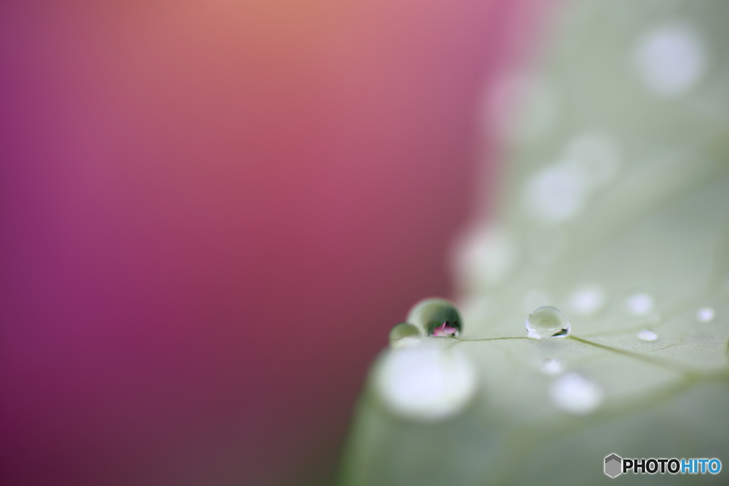 嬉しい雨♫