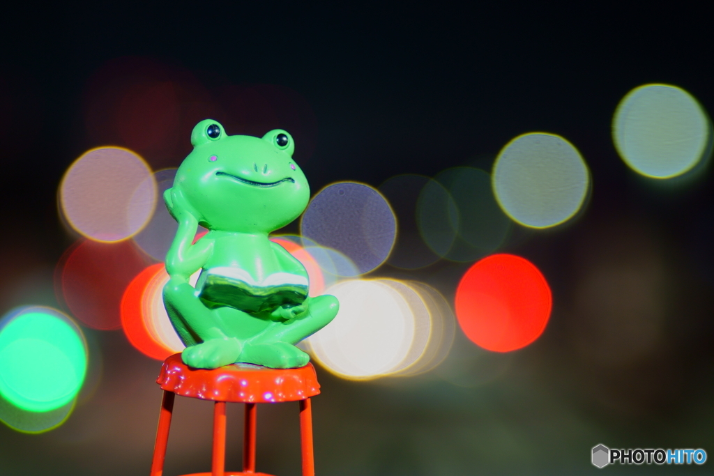 読書家の兄カエル