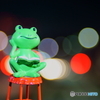 読書家の兄カエル