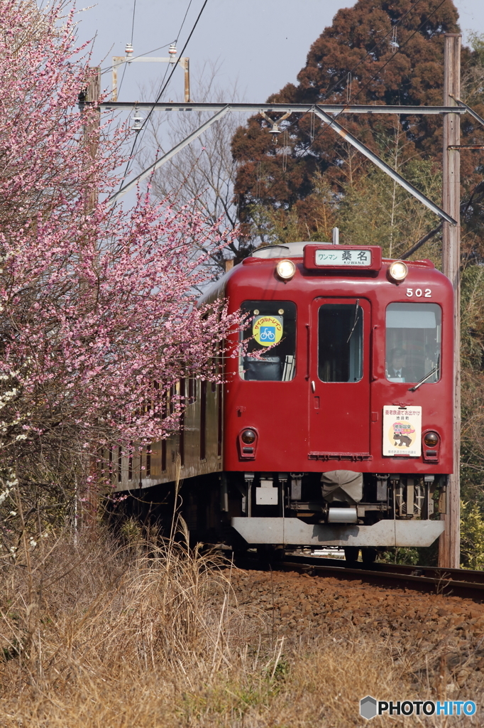 祝存続・近鉄養老線♪