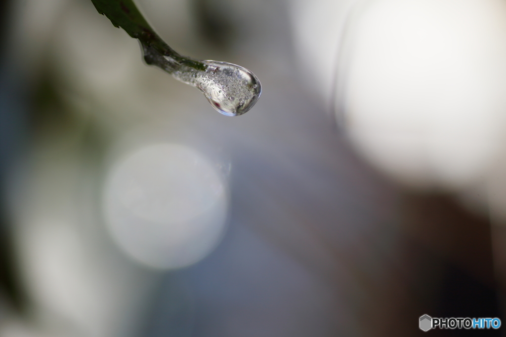 氷の世界