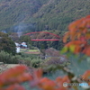 揖斐峡は秋の色
