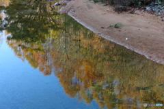 秋映えの川面