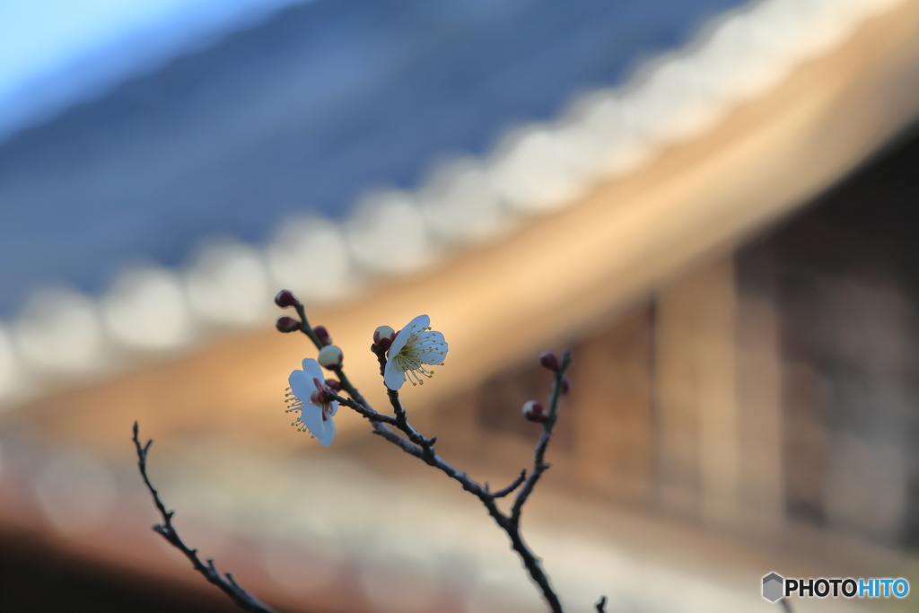 遅く起きた朝