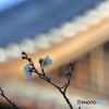 遅く起きた朝
