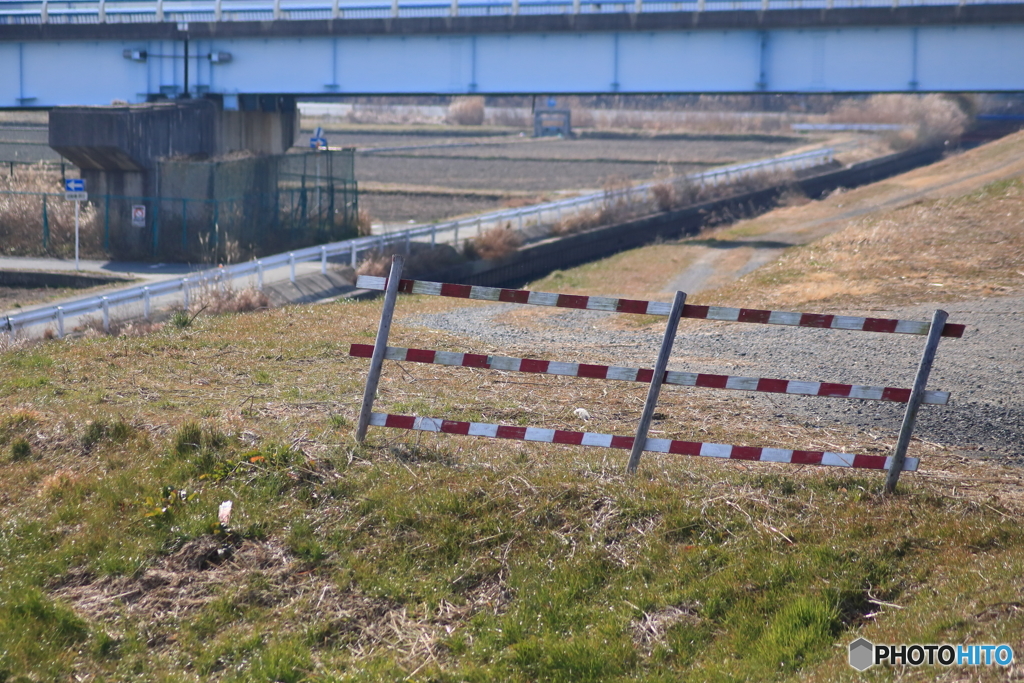 散歩道