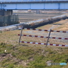 散歩道