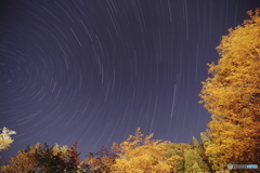 高山・清見の夜空