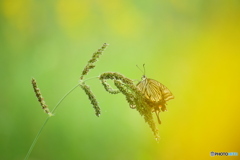 カラフルワールド