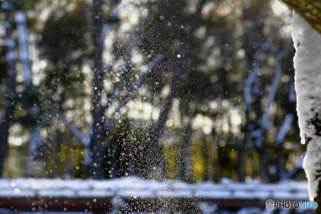 ハラハラと・・・雪のかけら