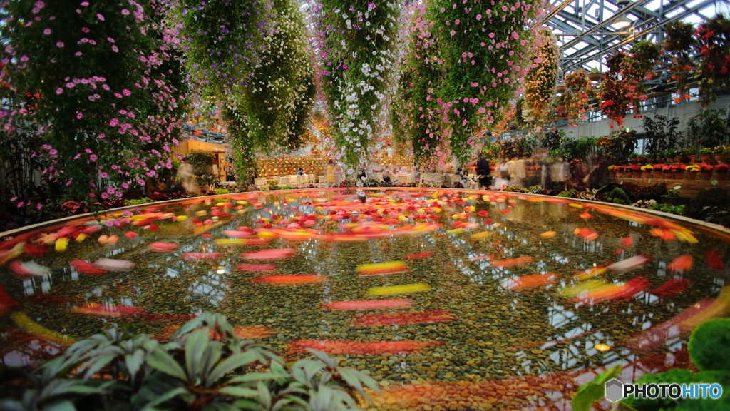 グルっとトロピカル