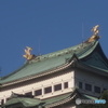 「なごや」は金が好き♪