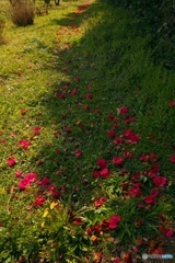 花道