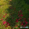 花道