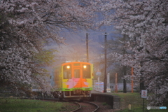 さあさあ、桜の季節です♪
