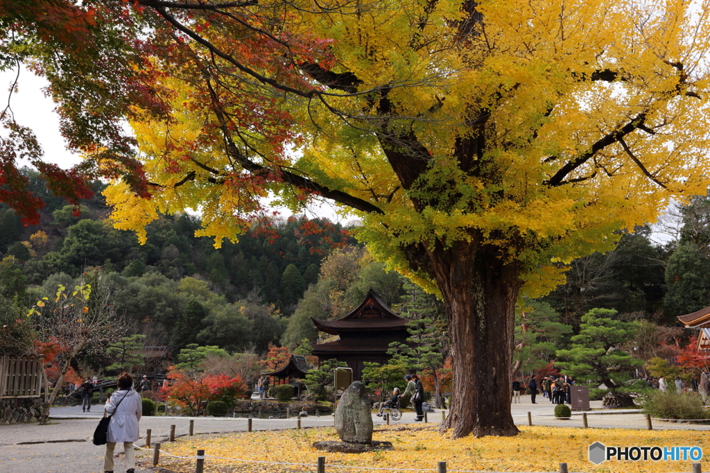 虎渓山　永保寺