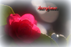 良いクリスマスでありますように♫