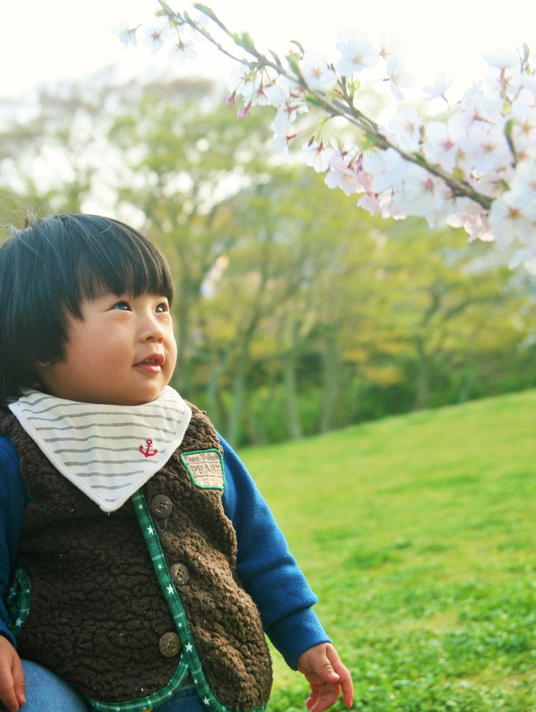 こんな近くに桜